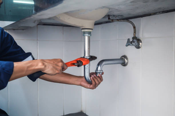 Best Plumbing Services Near Me  in Walthourville, GA