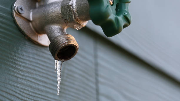 Best Septic Systems  in Walthourville, GA